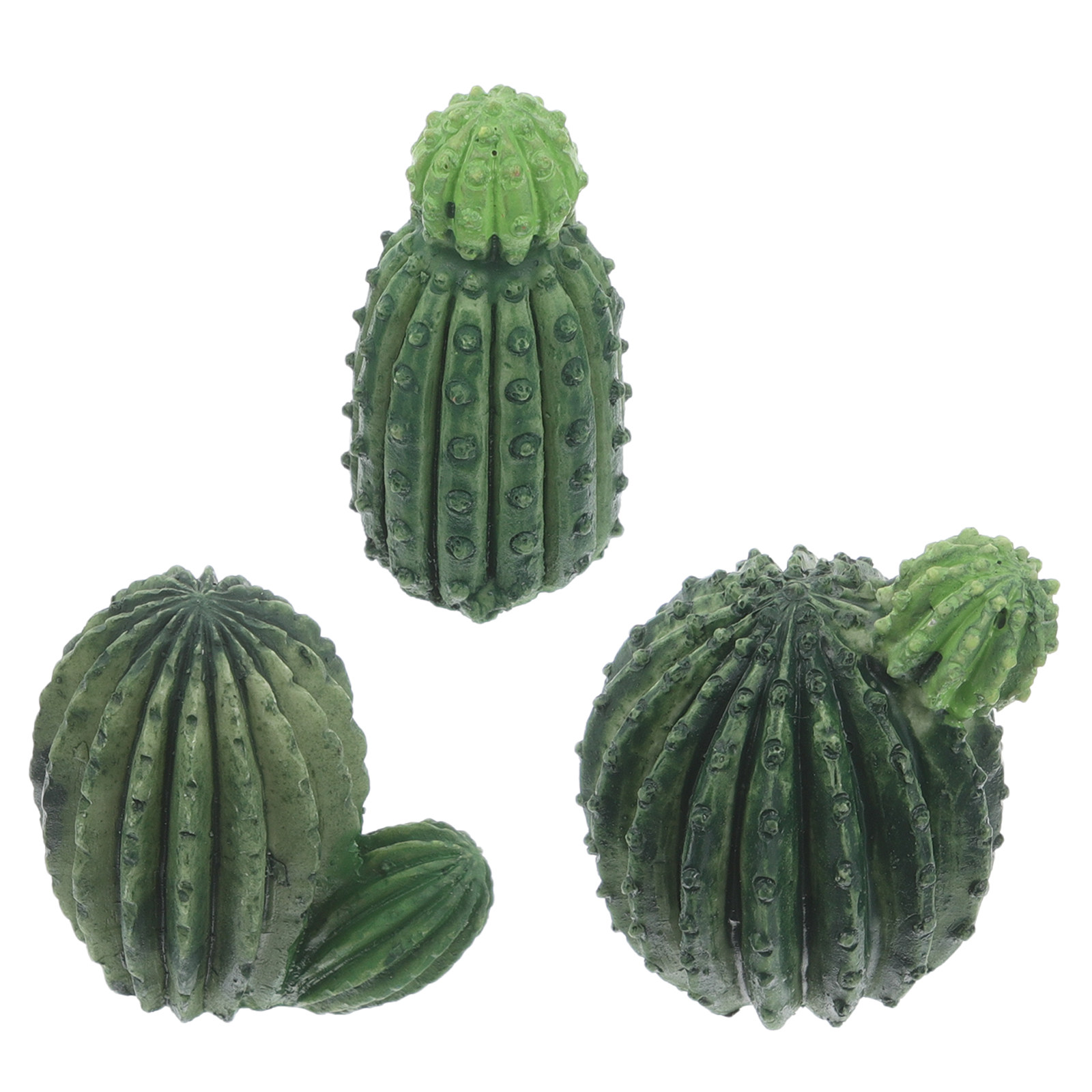 Succulent Set - Set di piccoli cactus e piante