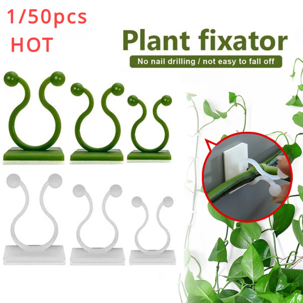 Plant Support Stake - 1/30/50 pezzi per accessori da giardino