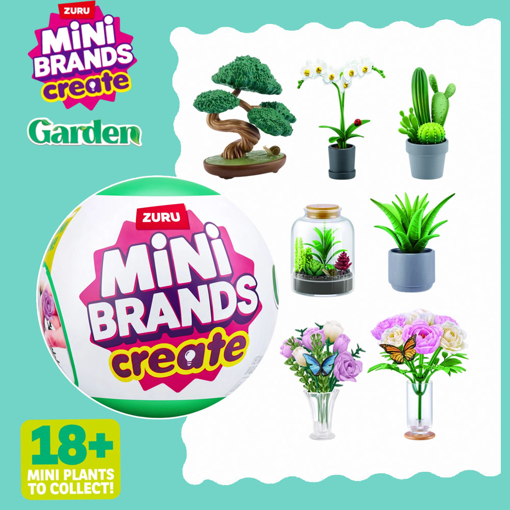 Succulent Set - Set di Piante da Giardino in