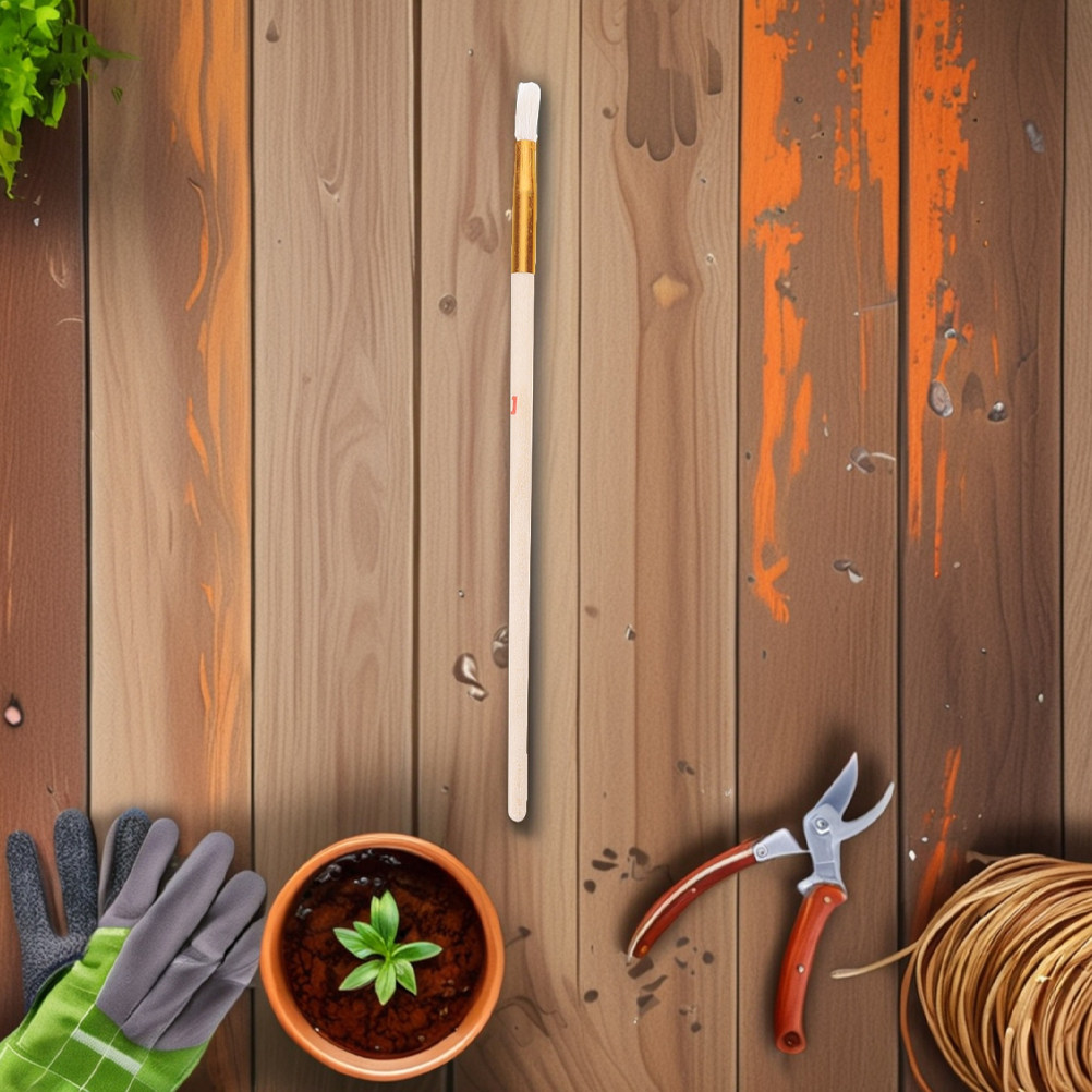 10 spazzole per l'impollinazio - Indoor Plants recensione e prezzo