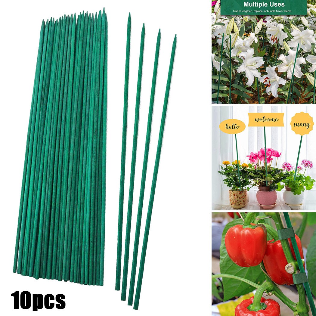 10pcs 40cm bastoncini di suppo - Plant Support Stake recensione e prezzo
