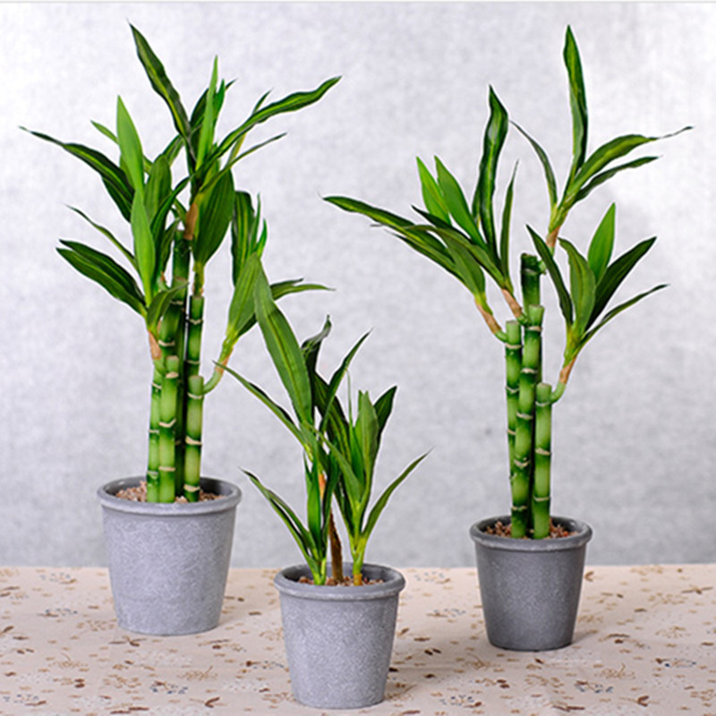 Nuova Pianta Artificiale di Ba - Succulent Set recensione e prezzo