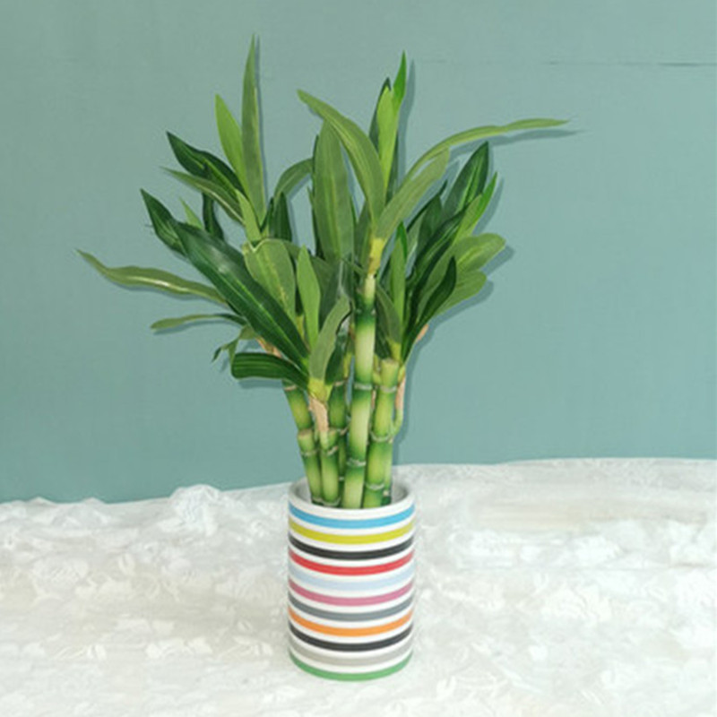 Nuova Pianta Artificiale di Ba - Succulent Set recensione e prezzo