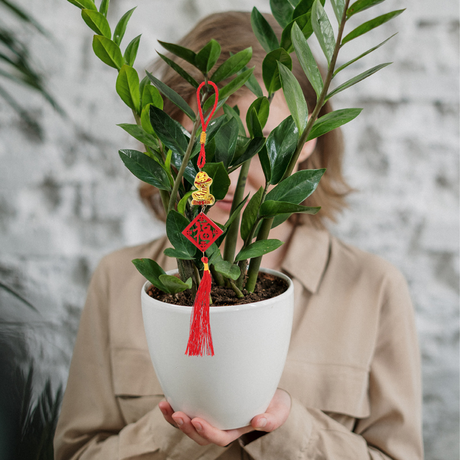 5 pezzi, ciondolo in legno a t - Snake Plant recensione e prezzo