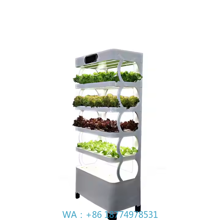 Sistema di coltivazione per ve - Indoor Plants recensione e prezzo