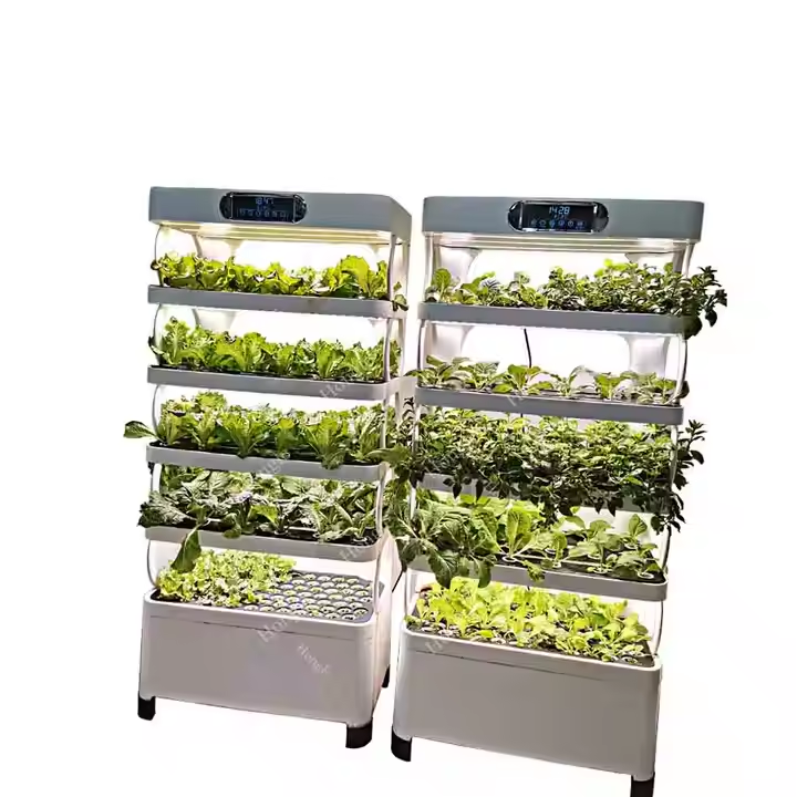 Sistema di coltivazione per ve - Indoor Plants recensione e prezzo