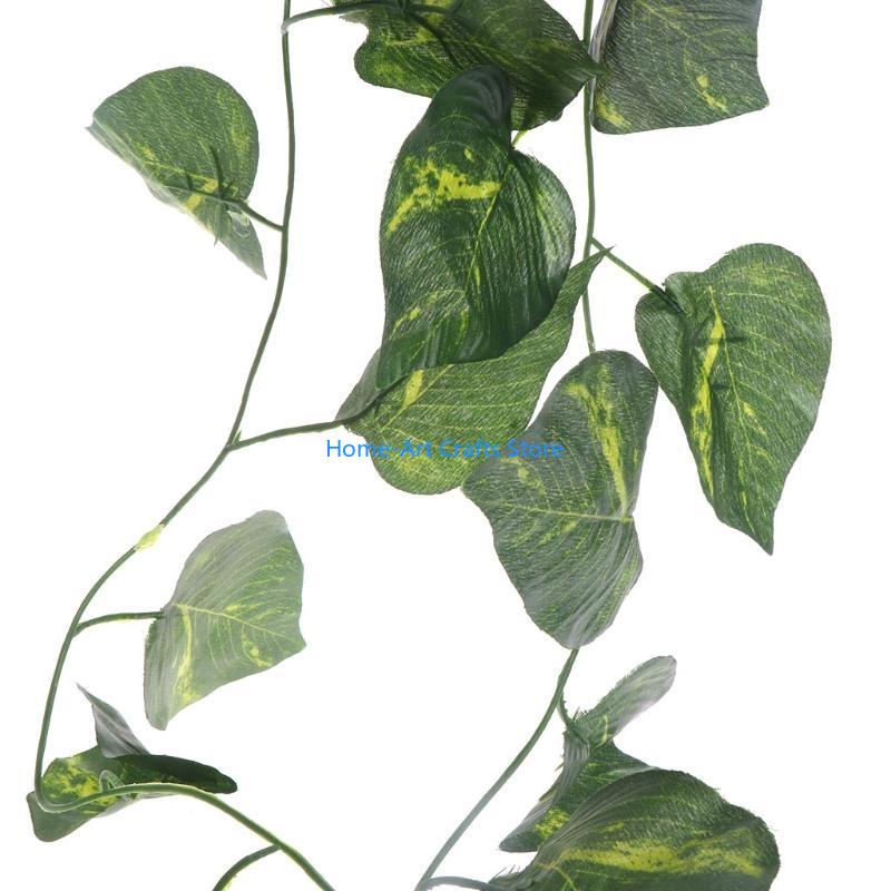 Y3NA Pesce per acquario Decora - Snake Plant recensione e prezzo