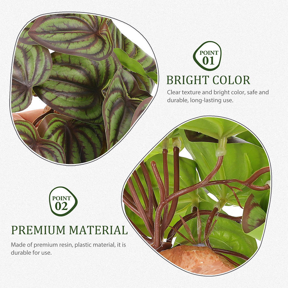 Piante artificiali di alta qua - Snake Plant recensione e prezzo