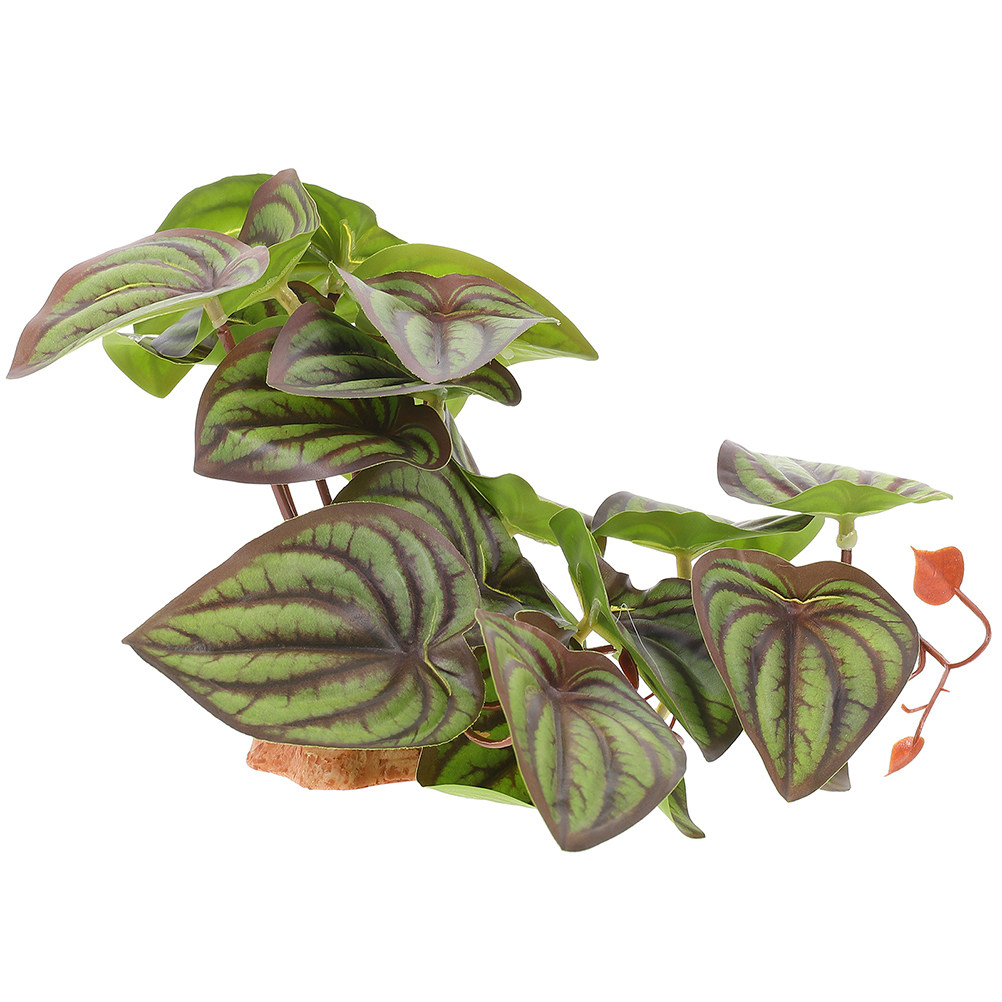 Piante artificiali di alta qua - Snake Plant recensione e prezzo