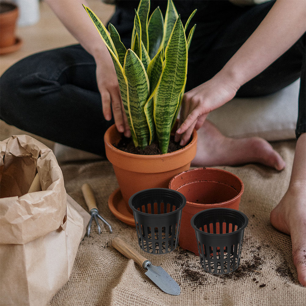 15 pezzi di cesti per piante i - Indoor Plants recensione e prezzo