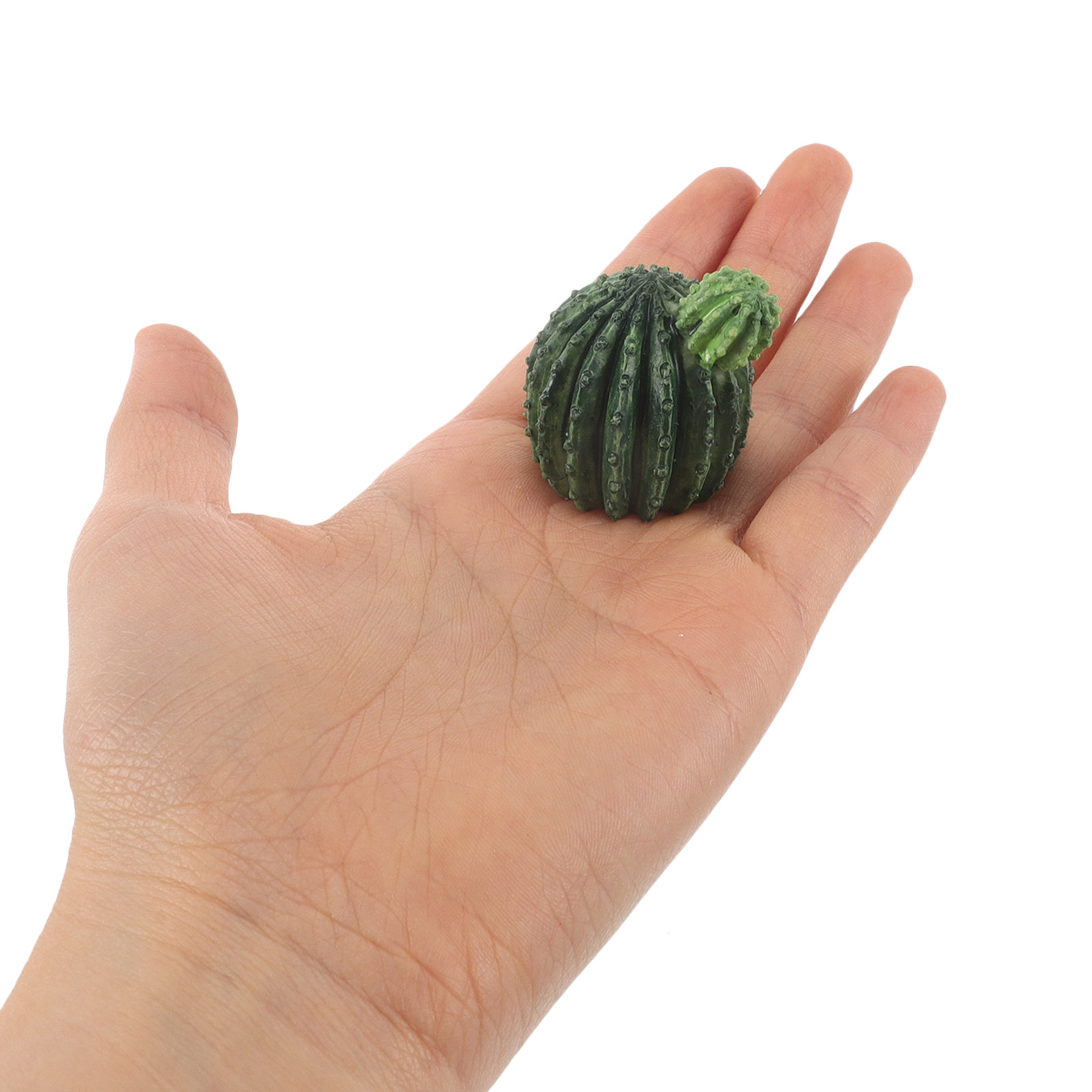 Set di piccoli cactus e piante - Succulent Set recensione e prezzo