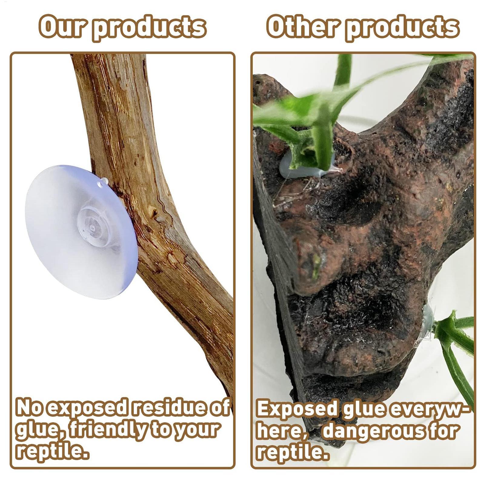 Ramo d'Albero in Legno per Ret - Snake Plant recensione e prezzo