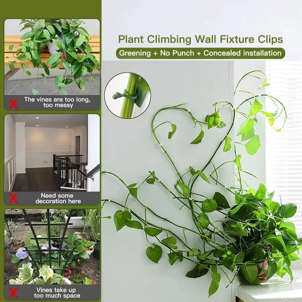 1/30/50 pezzi per accessori da - Plant Support Stake recensione e prezzo