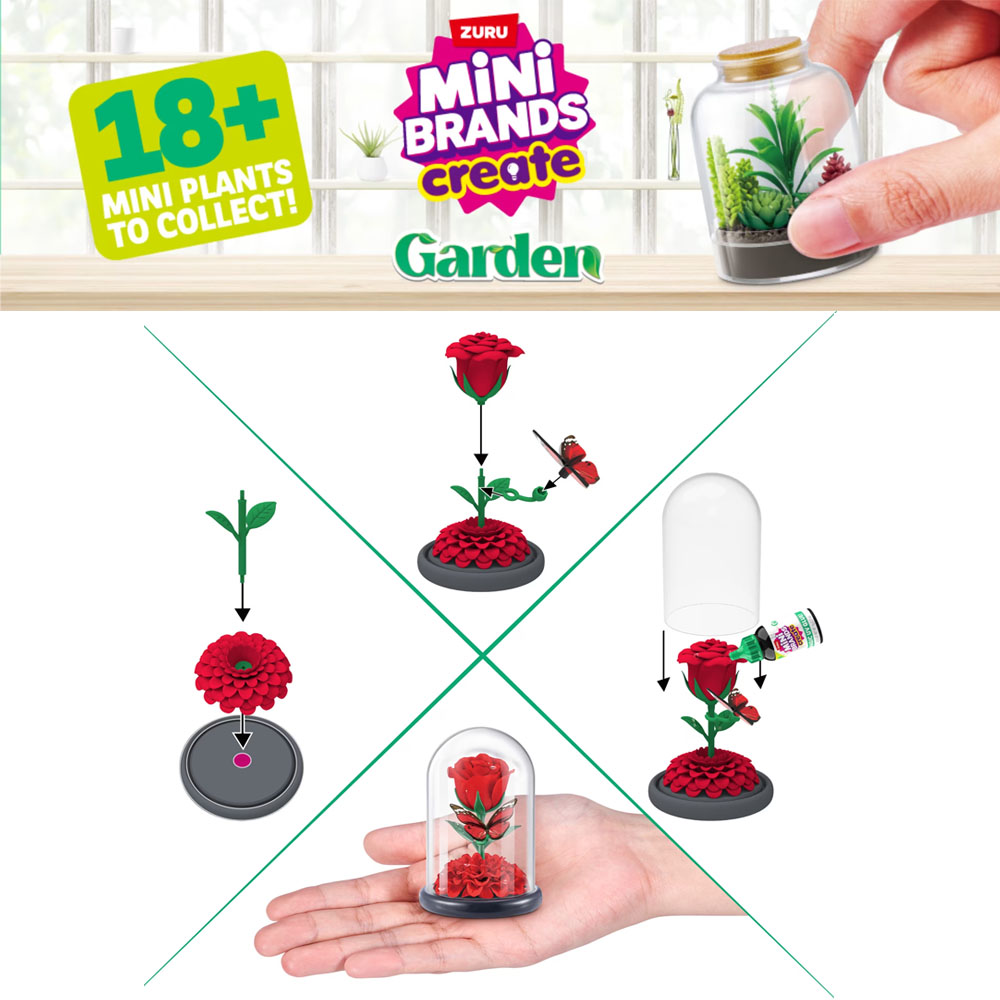 Set di Piante da Giardino in M - Succulent Set recensione e prezzo