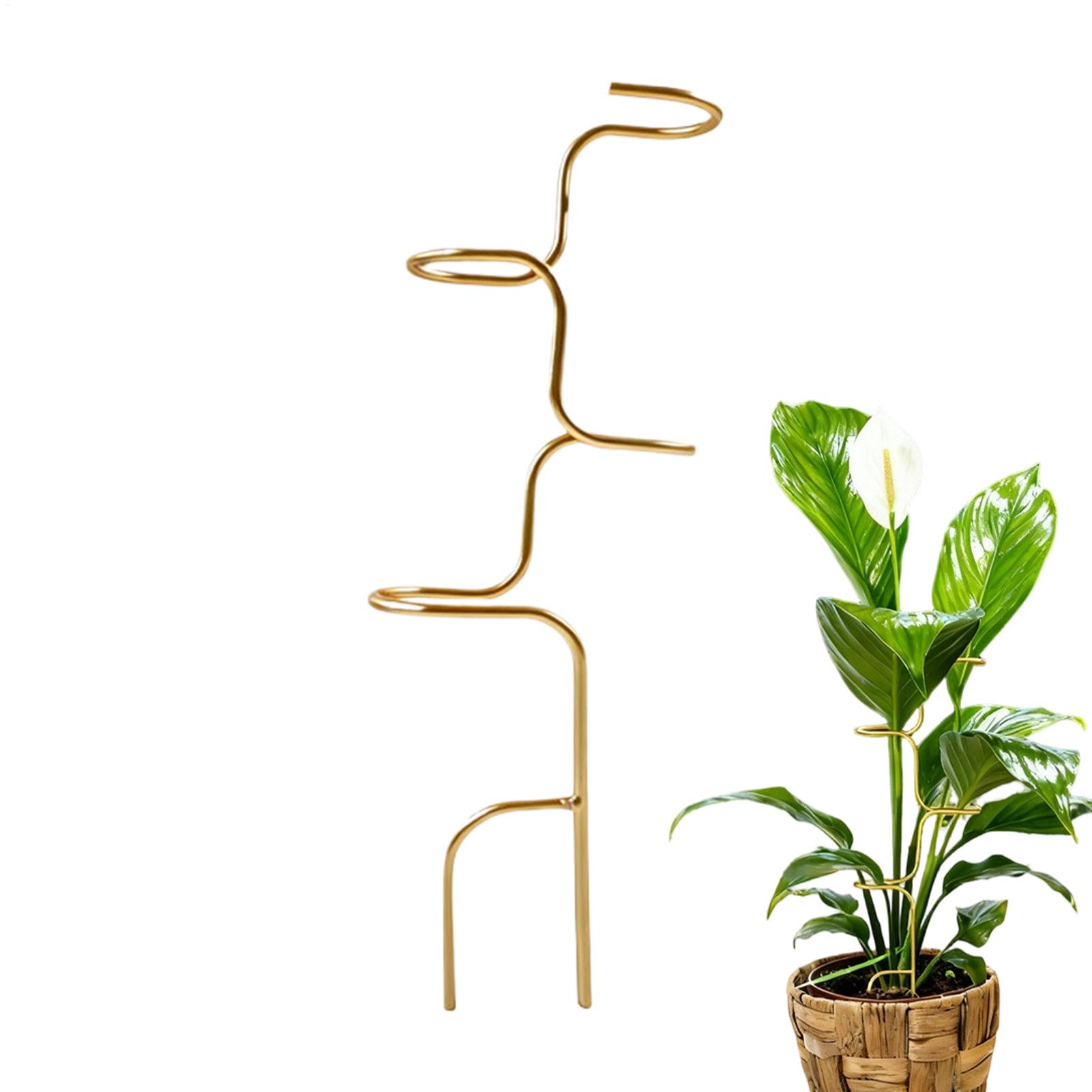 Supporto per il fissaggio dei  - Plant Support Stake recensione e prezzo