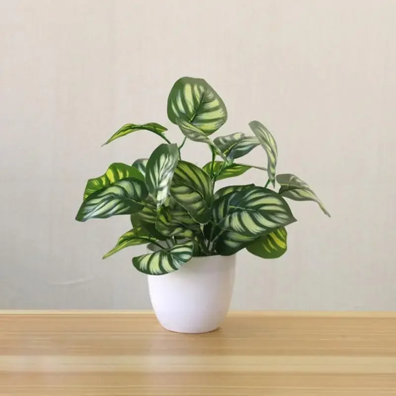Piante artificiali, bonsai, pi - Snake Plant recensione e prezzo