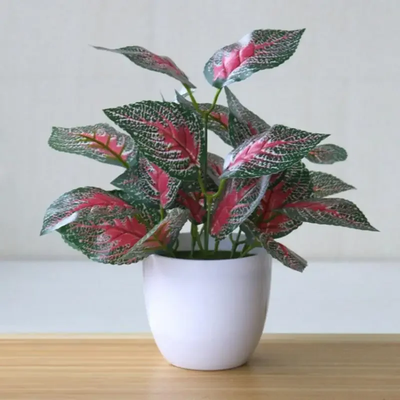 Piante artificiali, bonsai, pi - Snake Plant recensione e prezzo