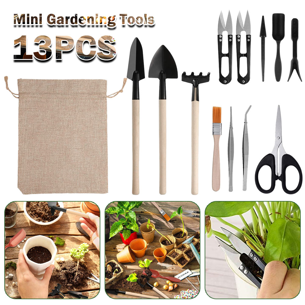 Strumenti per piante grasse Mi - Succulent Set recensione e prezzo