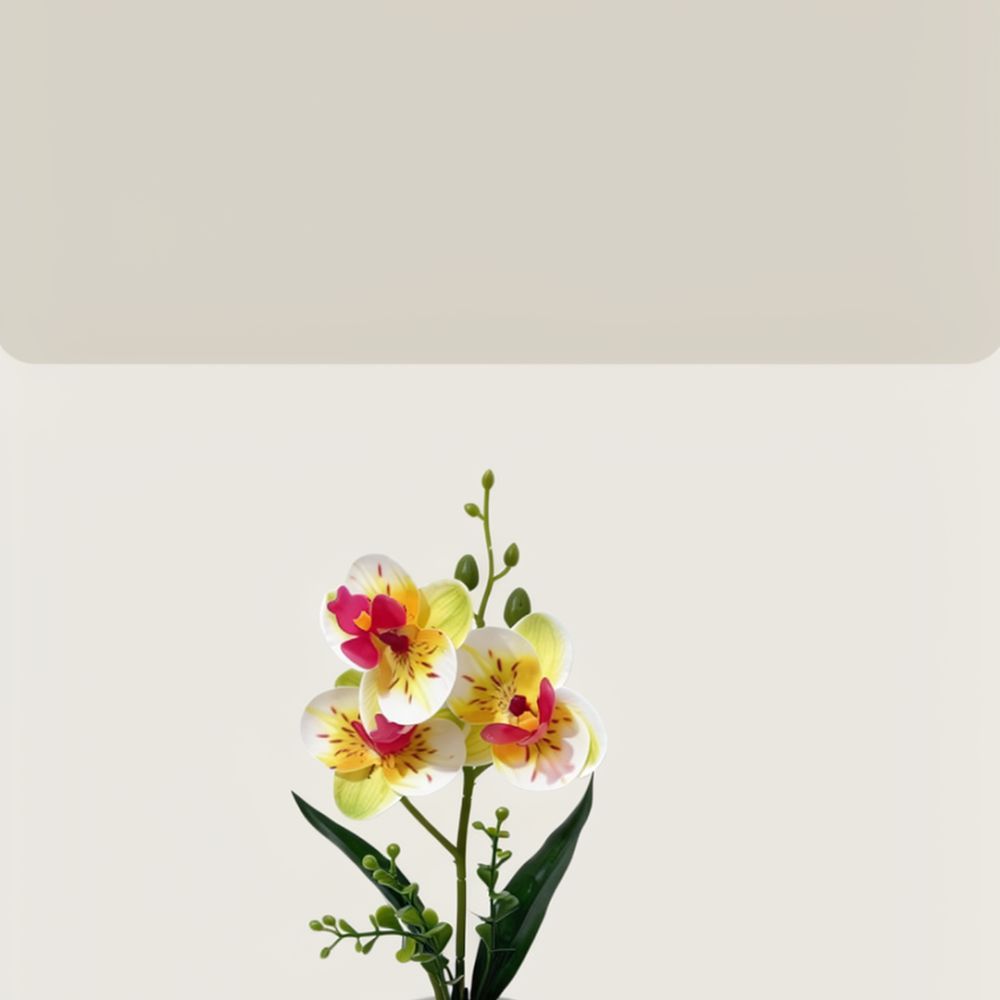 Finta orchidea Phalaenopsis in - Indoor Plants recensione e prezzo