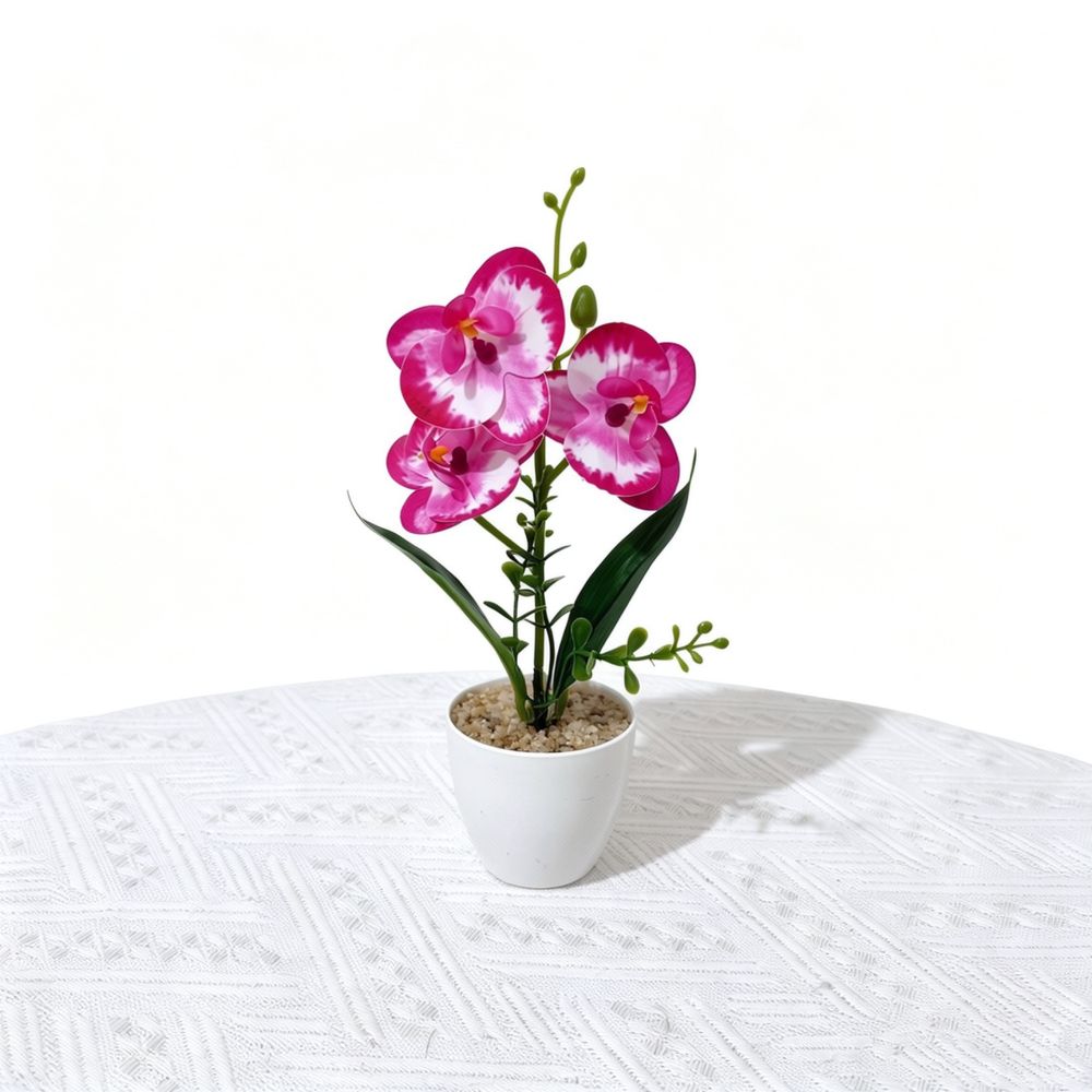 Finta orchidea Phalaenopsis in - Indoor Plants recensione e prezzo