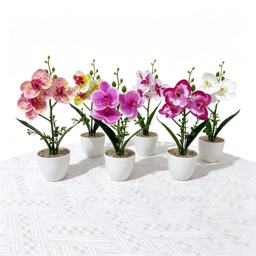 Finta orchidea Phalaenopsis in - Indoor Plants recensione e prezzo