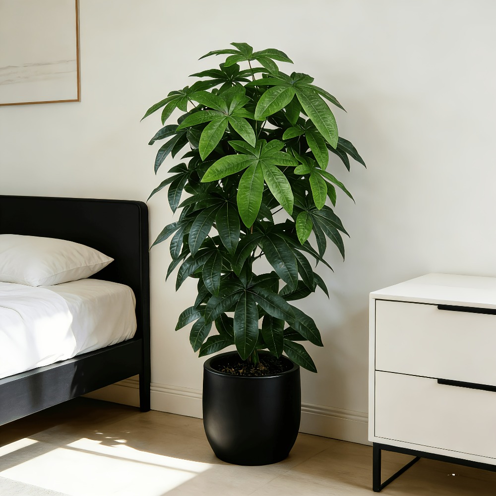 Albero della Fortuna Artificia - Fiddle Leaf Fig recensione e prezzo